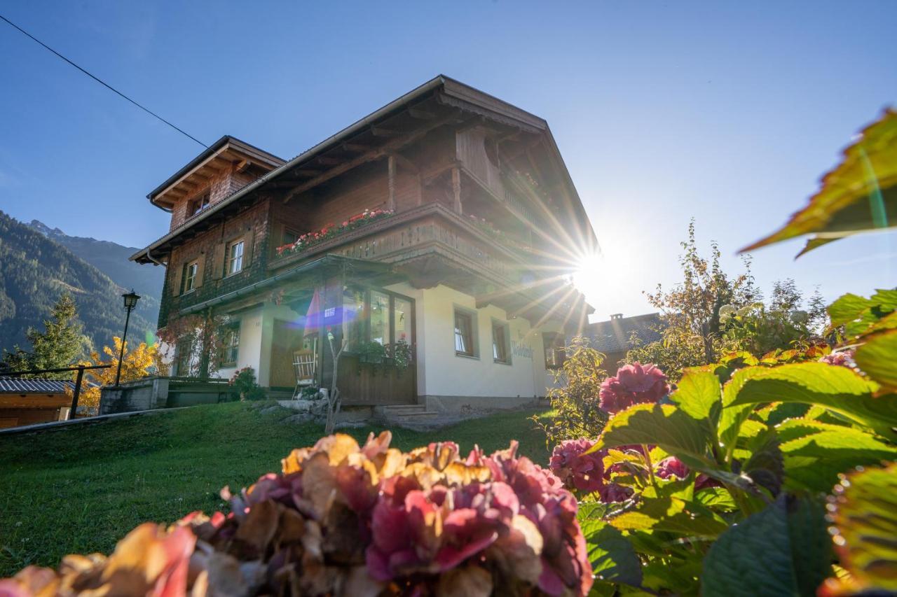 Gaestehaus Waldruh Brandberg Εξωτερικό φωτογραφία