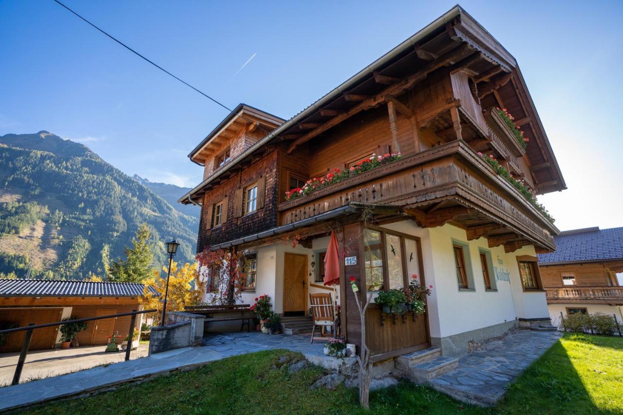 Gaestehaus Waldruh Brandberg Εξωτερικό φωτογραφία